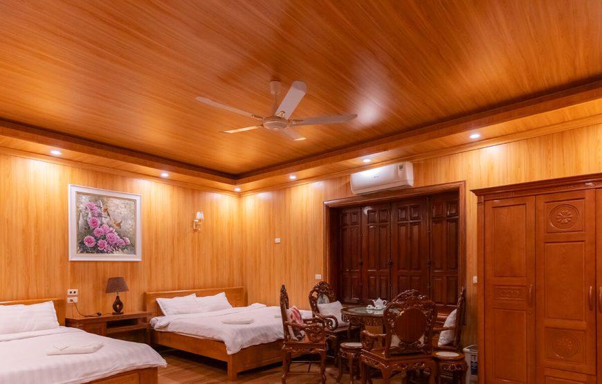Star Apple Tree Room