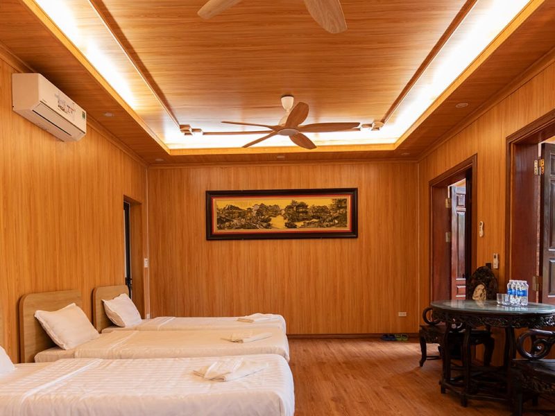 Cay Xoai Room