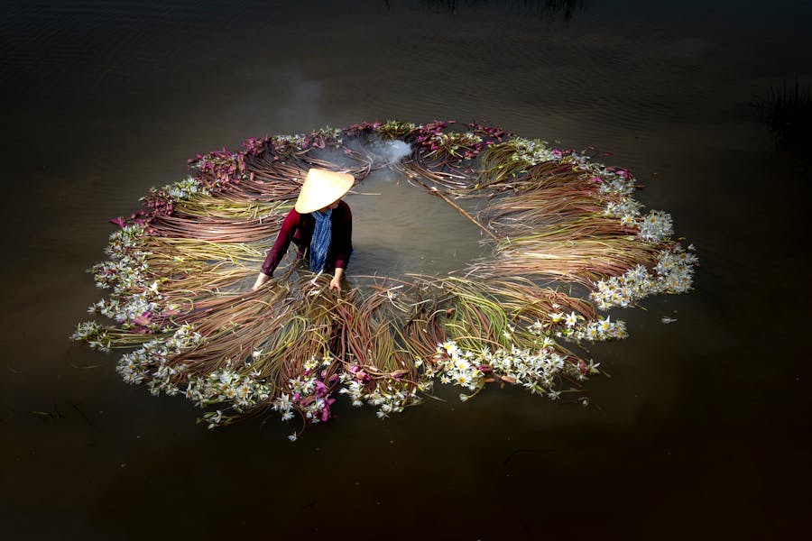Mekong delta Vietnam-DMC