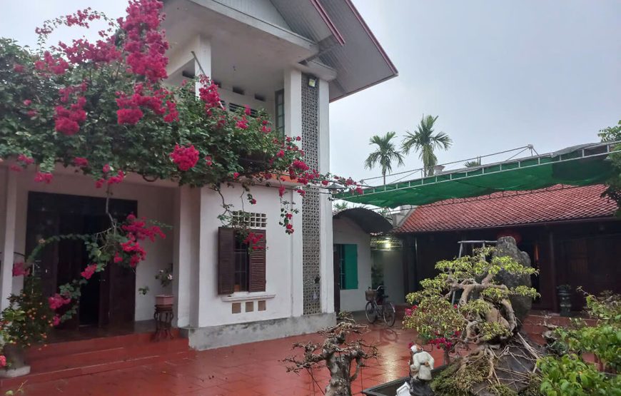 Hai Van Homestay