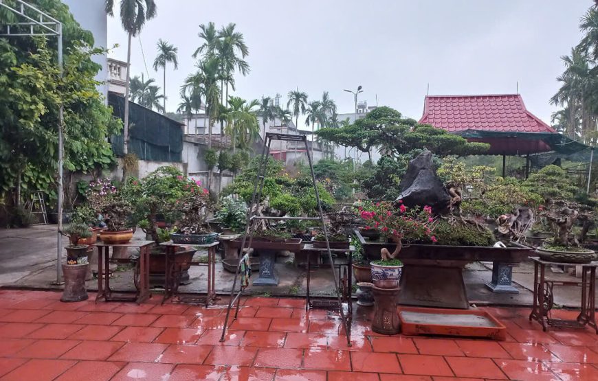 Hai Van Homestay