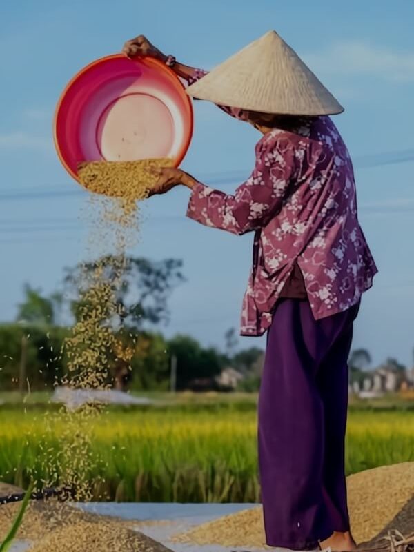 Local Engagement in Nam Dinh