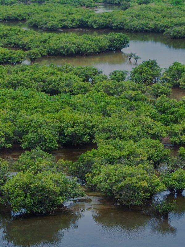 Nam Dinh Landscape