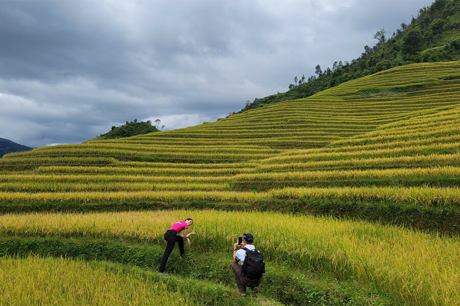 Rice-Terrace-Trekking​-Leading-Vietnam-B2B-DMC.