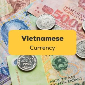 vietnam currency guide