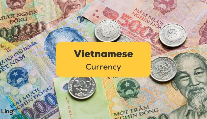 vietnam currency guide
