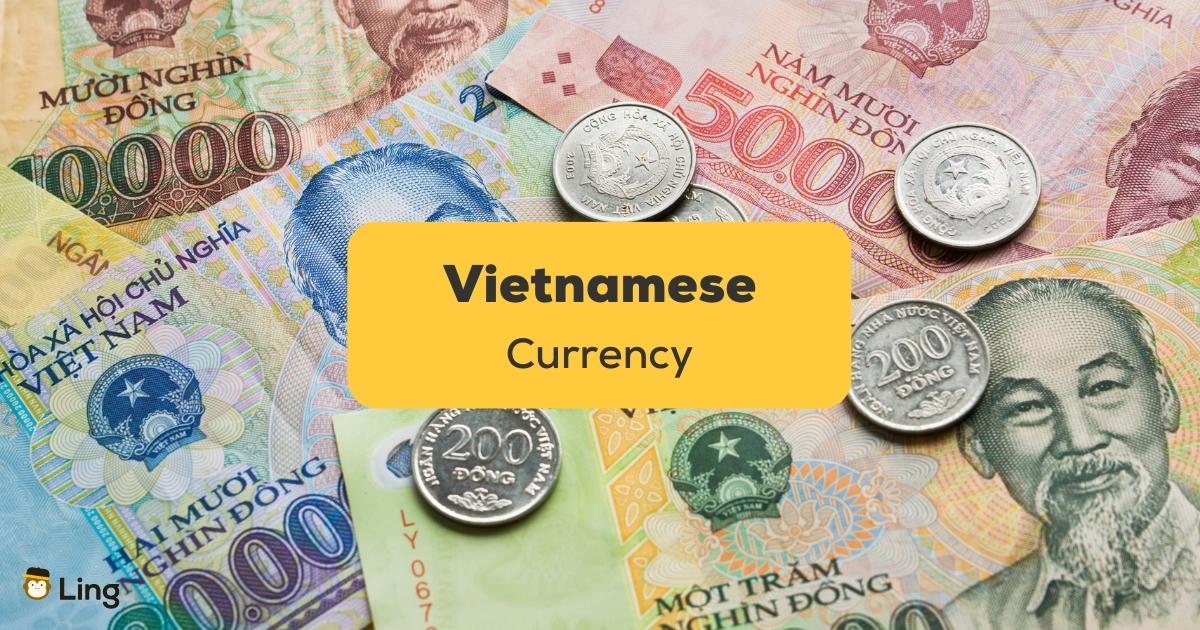 vietnam currency guide
