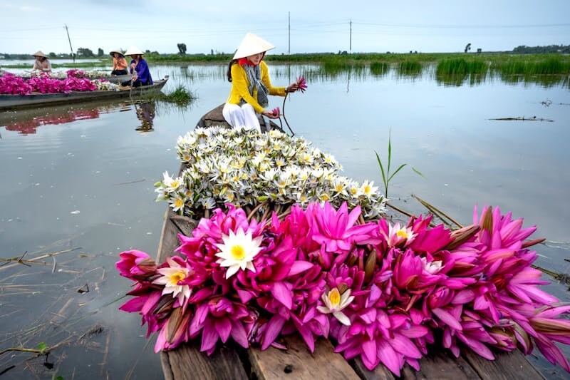 Trusted Vietnam DMC for Authentic & Friendly Journeys​