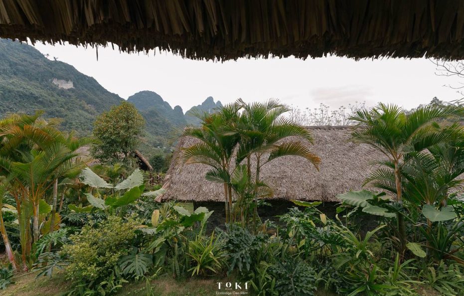 Toki Ecolodge – Sao Room