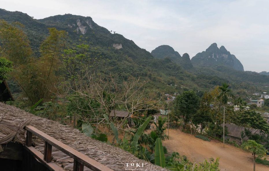 Toki Ecolodge – La Room