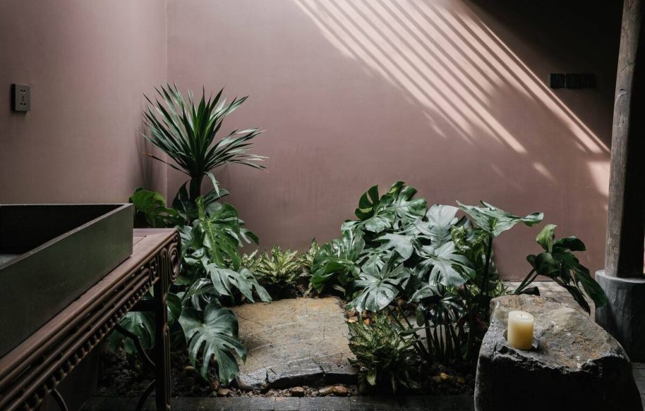 Toki Retreat – Mi Room