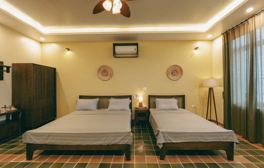 Nep House – Paddy Room