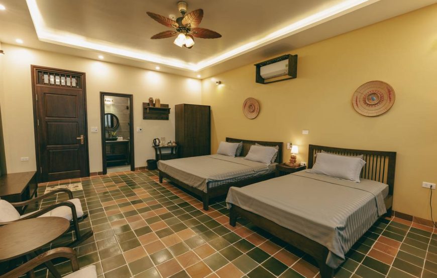 Nep House – Paddy Room