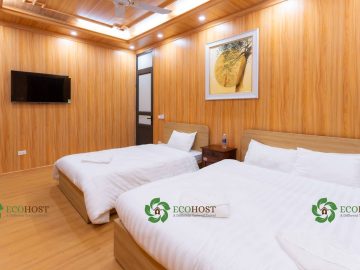 Truc Thang Ecohost – Pine Tree Room