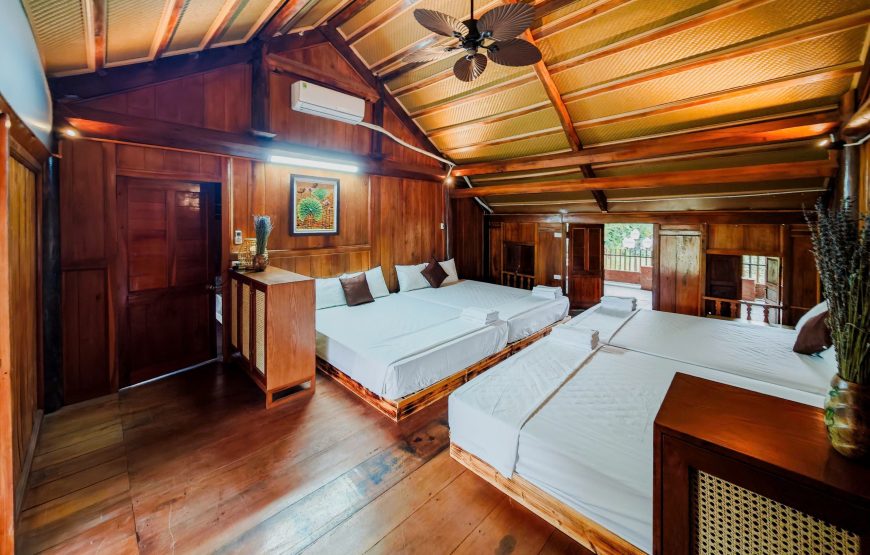Thao Moc Villa – Ba Vi