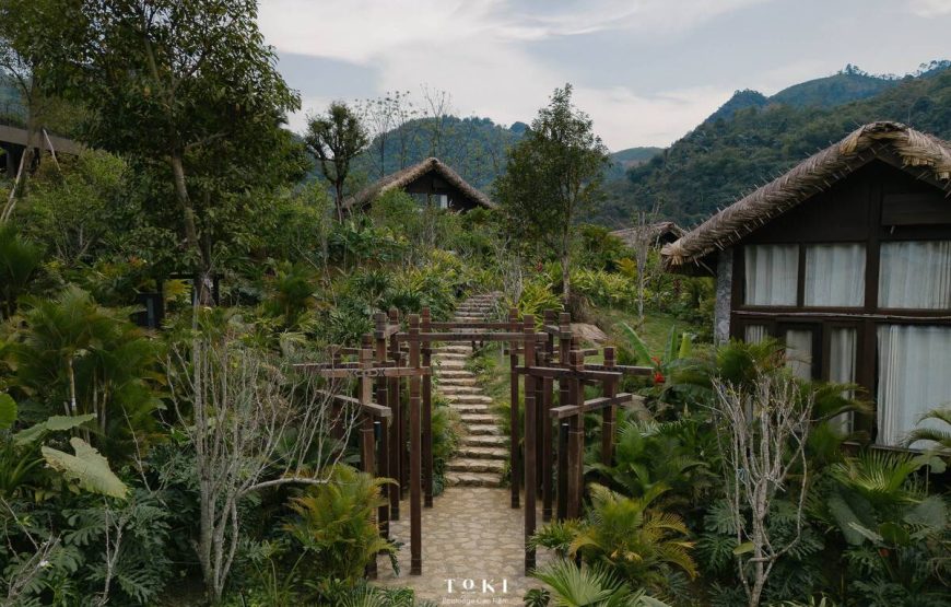 Toki Ecolodge