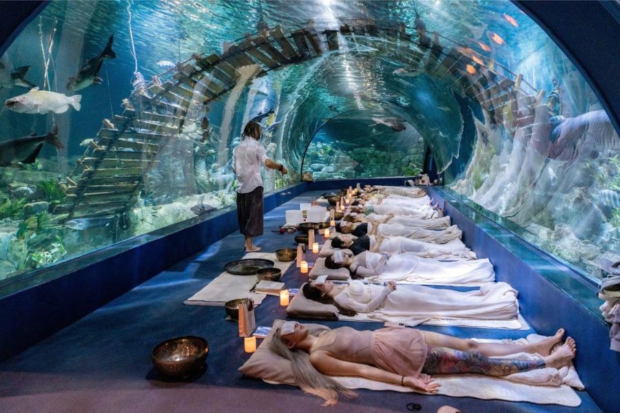 Bell Resonance Meditation - Tonkin Legends Luxury Vietnam DMC