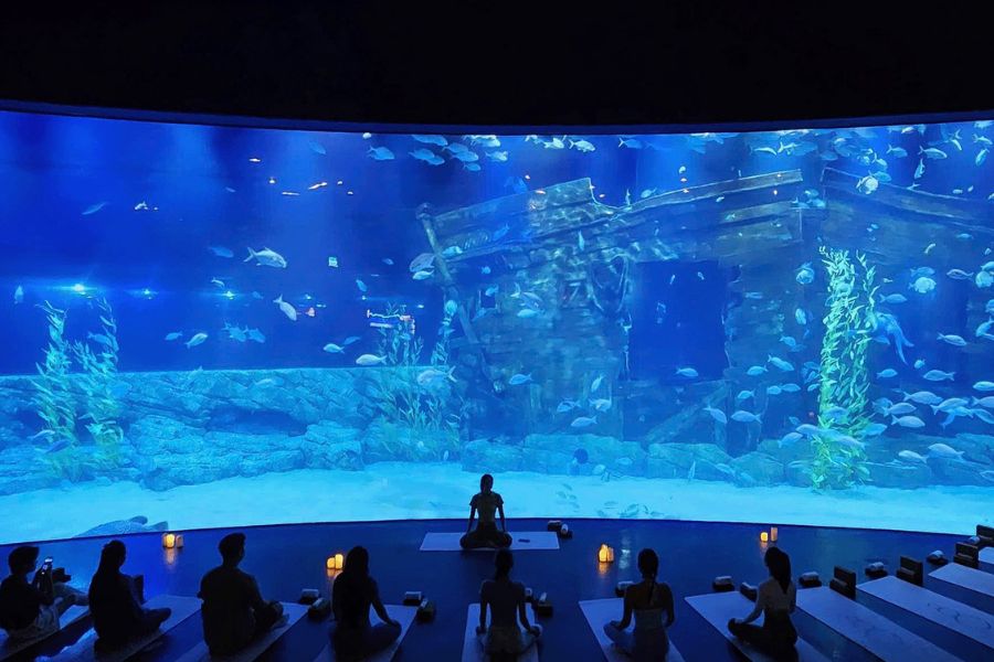 Ocean Whisper Yoga - Tonkin Legends Luxury Vietnam DMC