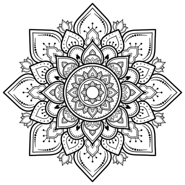 What Sets Tonkin Legends Apart as a Premier Vietnam DMC