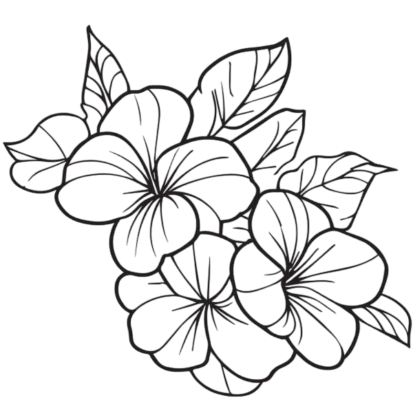 What Sets Tonkin Legends Apart as a Premier Vietnam DMC