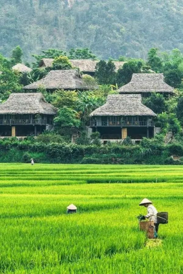 Mai Chau nature walks and community wellness escape - Vietnam wellness & spa journey