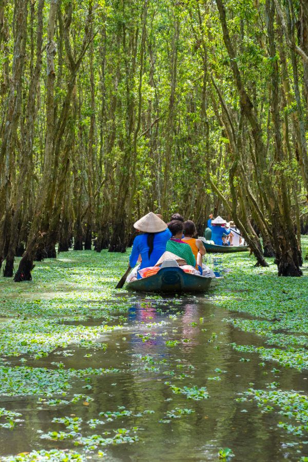 Mekong Delta river life with timeless rhythm - Vietnam nature immersion