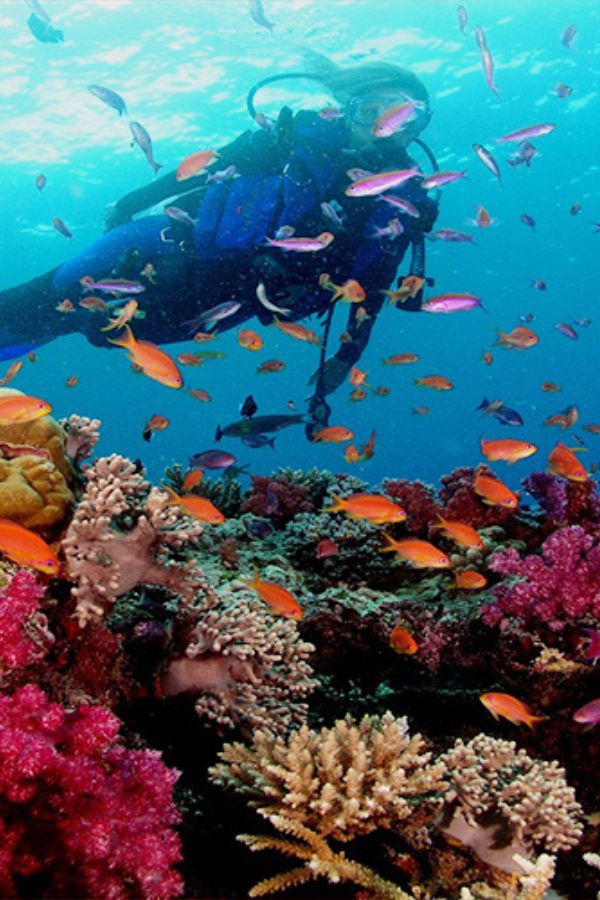 Nha Trang coastal sanctuaries and marine healing - Vietnam wellness & spa retreat