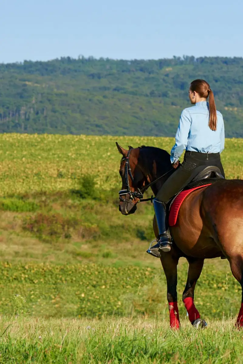 horse riding with vietnam luxury dmc