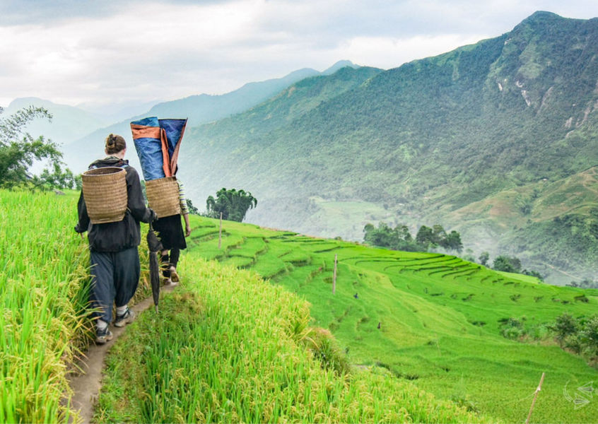 Trekkers with backpacks walking along a trail through green rice terraces in Sapa